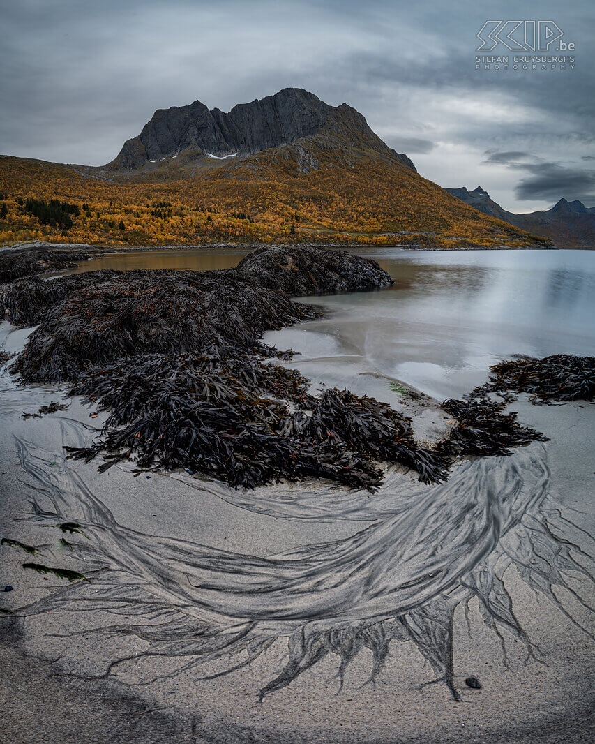 Senja - Mefjordbotn Beautiful traces of seaweed washing away on the beach of Mefjordbotn Stefan Cruysberghs